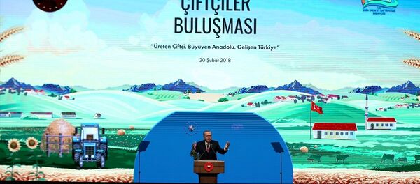 Recep Tayyip Erdoğan - Sputnik Türkiye