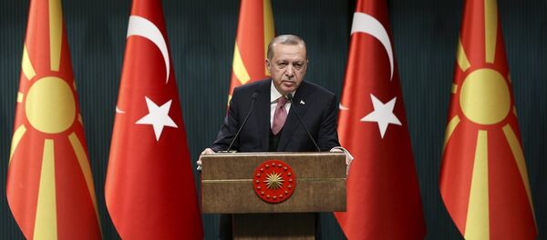 Cumhurbaşkanı Recep Tayyip Erdoğan - Sputnik Türkiye