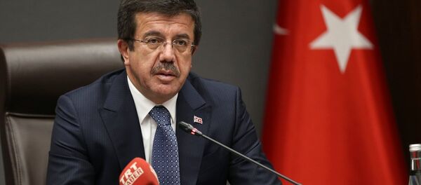 Ekonomi Bakanı Nihat Zeybekci - Sputnik Türkiye