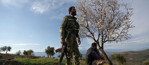 ÖSO- Zeytin Dalı Harekatı - Sputnik Türkiye