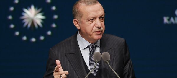 Recep Tayyip Erdoğan - Sputnik Türkiye