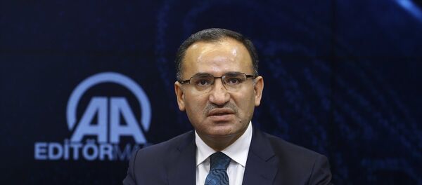 Hükümet Sözcüsü Bekir Bozdağ Hükümet Sözcüsü Bekir Bozdağ - Sputnik Türkiye