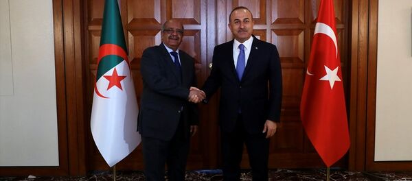 Mevlüt Çavuşoğlu - Abdulkadir Mesahil - Sputnik Türkiye