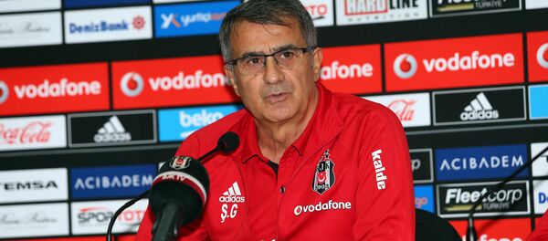 Şenol Güneş - Sputnik Türkiye