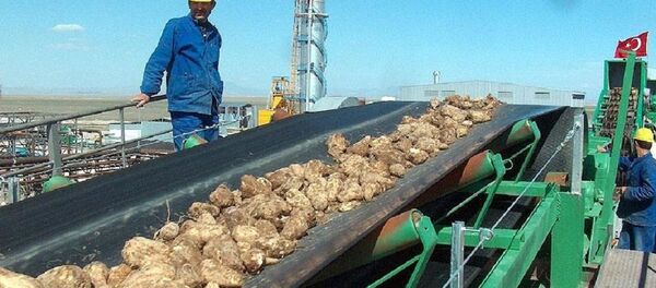 şeker fabrikası - Sputnik Türkiye