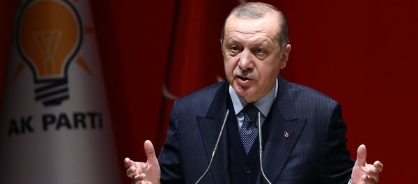 Cumhurbaşkanı Recep Tayyip Erdoğan - Sputnik Türkiye