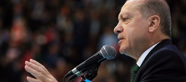 Cumhurbaşkanı ve AK Parti Genel Başkanı Recep Tayyip Erdoğan - Sputnik Türkiye