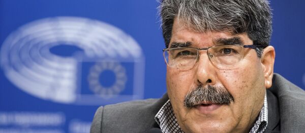 Eski PYD Eş Başkanı Salih Müslim - Sputnik Türkiye