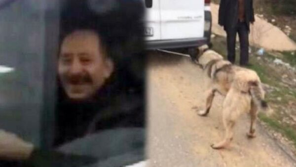 Köpeğe işkenceye para cezası - Sputnik Türkiye