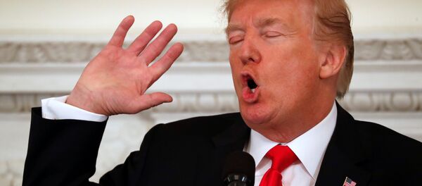 ABD Başkanı Donald Trump - Sputnik Türkiye