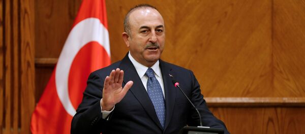 Dışişleri Bakanı Mevlüt Çavuşoğlu - Sputnik Türkiye