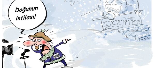 Karikatür - Sputnik Türkiye