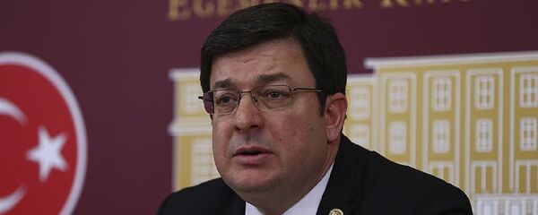 CHP Genel Başkan Yardımcısı  ve Çanakkale Milletvekili Muharrem Erkek - Sputnik Türkiye