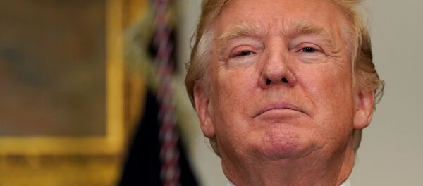 ABD Başkanı Donald Trump - Sputnik Türkiye