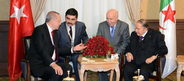 Cumhurbaşkanı Recep Tayyip Erdoğan ve Cezayirli mevkidaşı Cumhurbaşkanı Abdulaziz Buteflika - Sputnik Türkiye