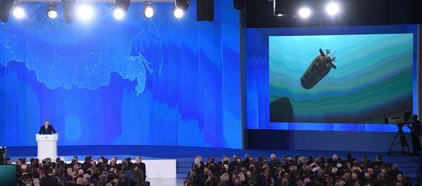 Putin, Federal Meclis üyelerine sesleniyor - Sputnik Türkiye