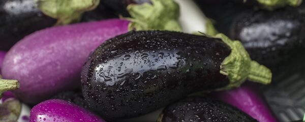 Patlıcan - Sputnik Türkiye