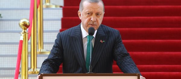 Cumhurbaşkanı Recep Tayyip Erdoğan Cumhurbaşkanı Recep Tayyip Erdoğan - Sputnik Türkiye