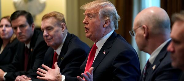 ABD Başkanı Donald Trump - Sputnik Türkiye