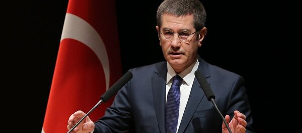 Nurettin Canikli - Sputnik Türkiye