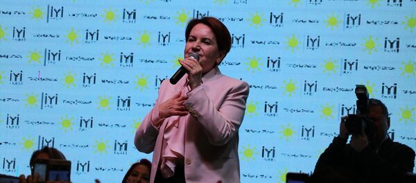 Meral Akşener - Sputnik Türkiye