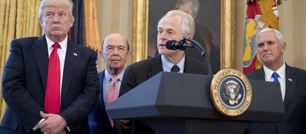 ABD Başkanı Donald Trump’ın Ticaret Danışmanı Peter Navarro - Sputnik Türkiye
