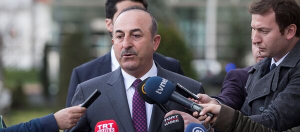 Dışişleri Bakanı Mevlüt Çavuşoğlu - Sputnik Türkiye