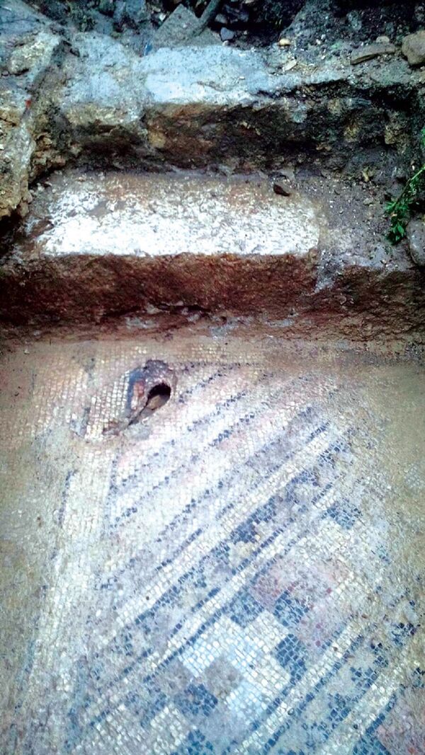 Adana’da tuvalet kazısı sırasında Roma dönemine ait 16 asırlık mozaik bulundu. - Sputnik Türkiye