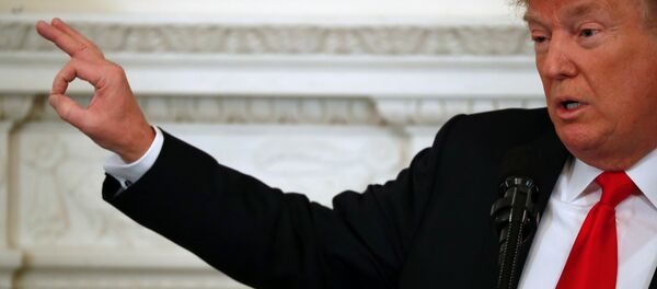 Donald Trump Beyaz Saray Washington - Sputnik Türkiye