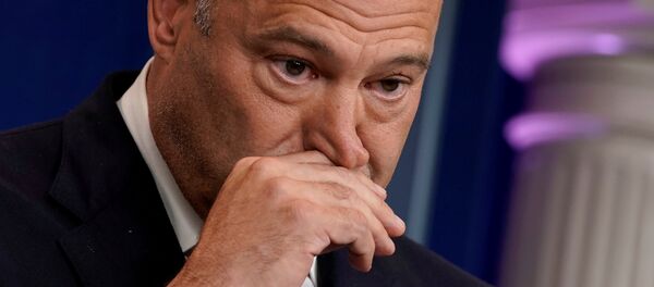 Beyaz Saray Başekonomi Danışmanı Gary Cohn - Sputnik Türkiye