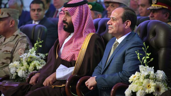 Suudi Veliaht Prens Muhammed bin Selman (MbS), Mısır Cumhurbaşkanı Abdülfettah Sisi Kahire - Sputnik Türkiye