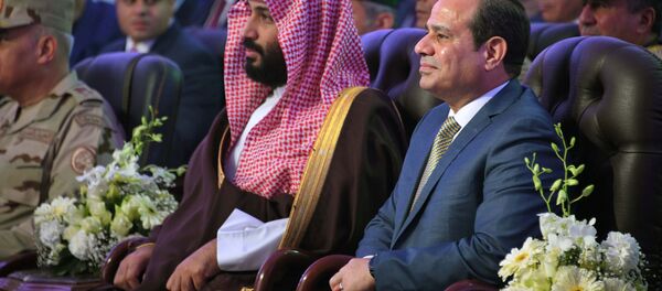 Suudi Veliaht Prens Muhammed bin Selman (MbS), Mısır Cumhurbaşkanı Abdülfettah Sisi Kahire - Sputnik Türkiye