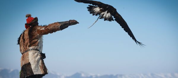 Moğolistan'da Kartal Festivali - Sputnik Türkiye