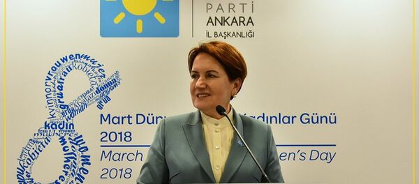 Meral Akşener - Sputnik Türkiye
