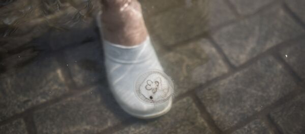 Tarihi cami 1 haftadır su altında: Bahçesini deniz anaları bastı - Sputnik Türkiye