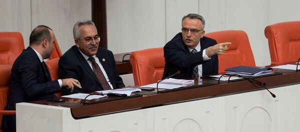 Maliye Bakanı Naci Ağbal - Sputnik Türkiye