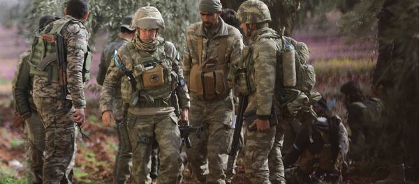 TSK, ÖSO, Afrin, Zeytin Dalı - Sputnik Türkiye