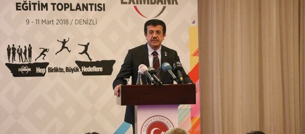 Ekonomi Bakanı Nihat Zeybekci - Sputnik Türkiye
