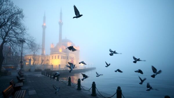 İstanbul'da yoğun sis - Sputnik Türkiye