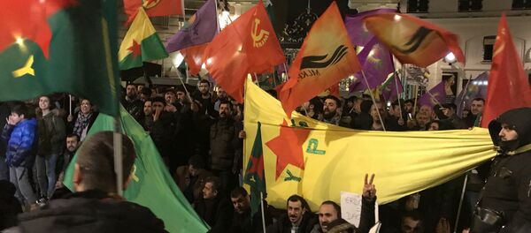 Paris’te Afrin protestosu - Sputnik Türkiye