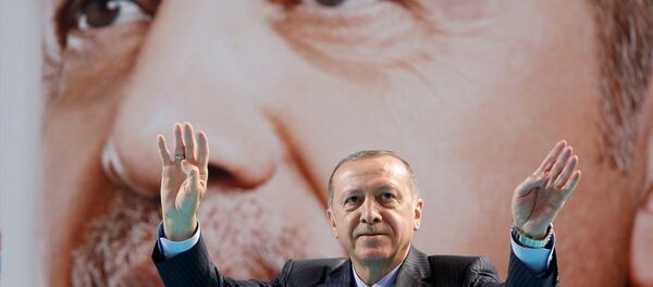 Cumhurbaşkanı ve AK Parti Genel Başkanı Recep Tayyip Erdoğan - Sputnik Türkiye