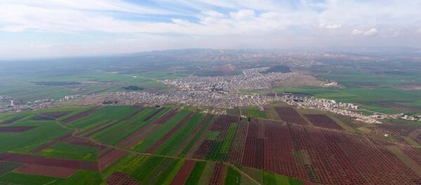 Afrin'de merkezin kuşatılmasına 1.5 kilometre kaldı - Sputnik Türkiye