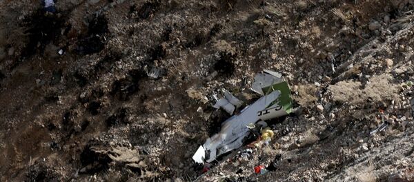 İran'da düşen Başaran Holding'e ait özel uçak - Sputnik Türkiye