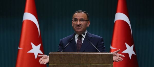 Başbakan Yardımcısı ve Hükümet Sözcüsü Bekir Bozdağ - Sputnik Türkiye