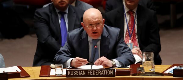 Rusya'nın Birleşmiş Milletler (BM) Daimi Temsilcisi Vasiliy Nebenzya - Sputnik Türkiye