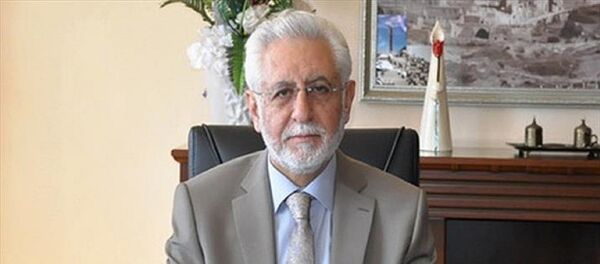 Mehmet Ağırakça - Sputnik Türkiye