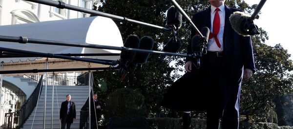 ABD Başkanı Donald Trump - Sputnik Türkiye