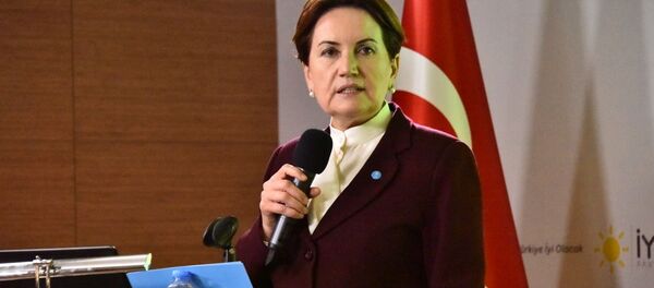 İYİ Parti Genel Başkanı Meral Akşener - Sputnik Türkiye