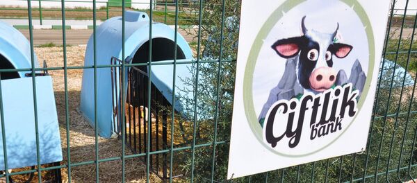 Çiftlik Bank - Sputnik Türkiye