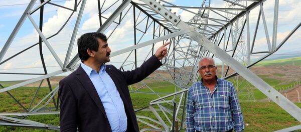 Türkiye Elektrik İletim A.Ş. (TEİAŞ) 16. Bölge Müdürü Mehmet Şerif Ekinci - Sputnik Türkiye